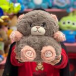 خرس دست و پا پنجه رنگی