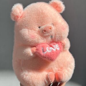 عروسک خوک قلب به دست