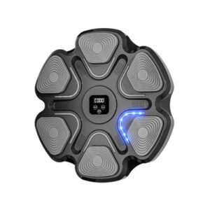 کیسه بوکس موزیکال ZX800